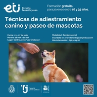 Curso de Técnicas de Adiestramiento canino y paseo de mascotas